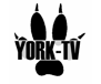 York-TV